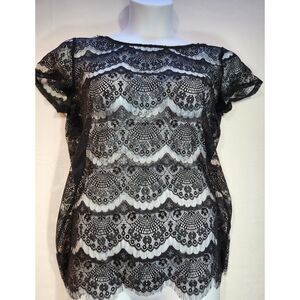 Fred David Womens Sheer Lace Top Size L Black Short Sleeve Layering Whimsygoth